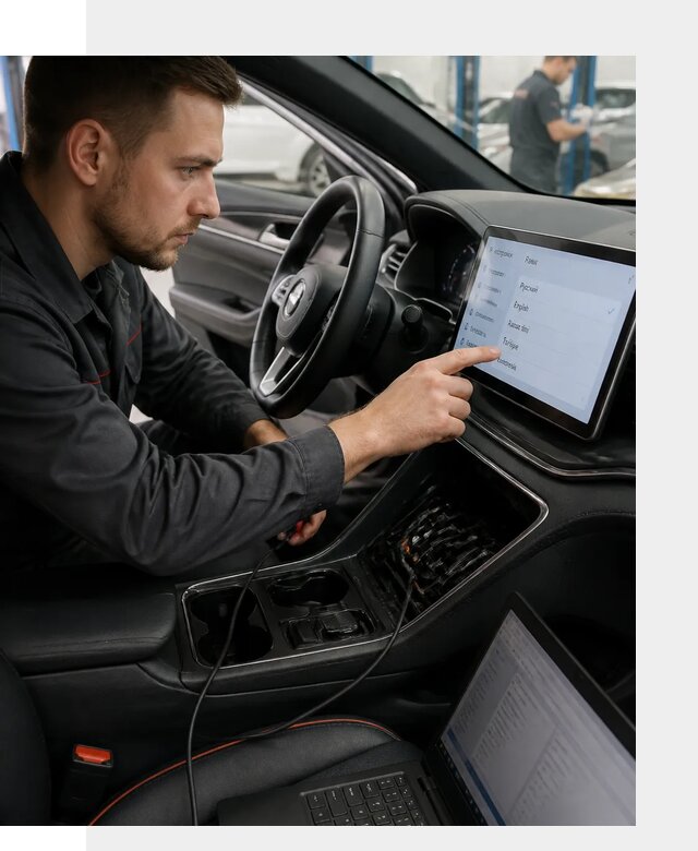 Профессиональная русификация BYD SONG Plus в Елизове
